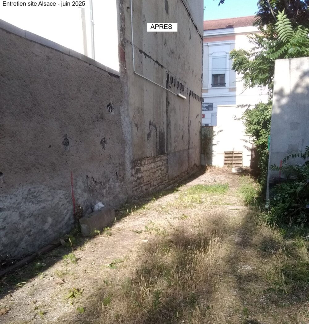 Entretien Terrain Saint Priest 2025